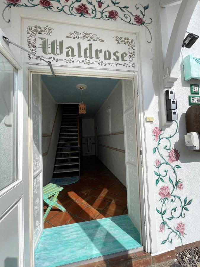 Villa Waldrose Binz Εξωτερικό φωτογραφία